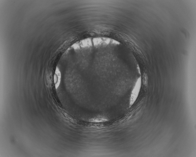 X0000111590915200908271006