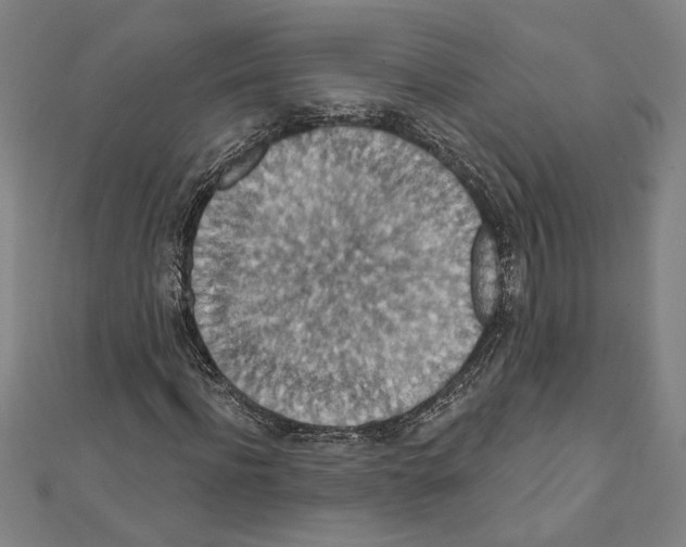 X0000111590916200908271006