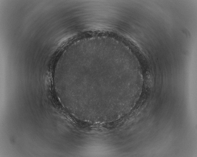 X0000111590918200908271006