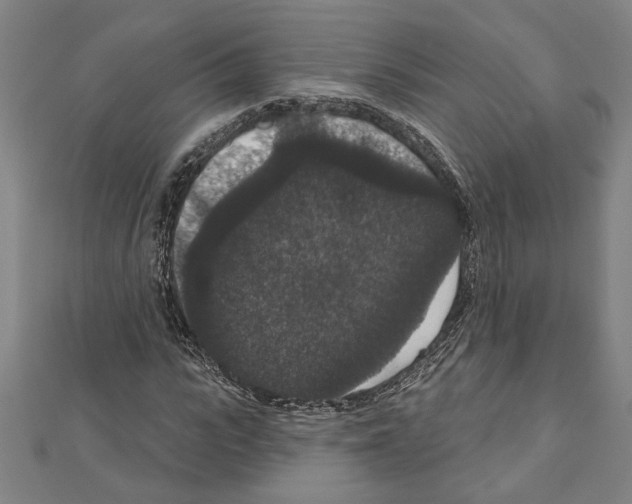 X0000111590919200908271006