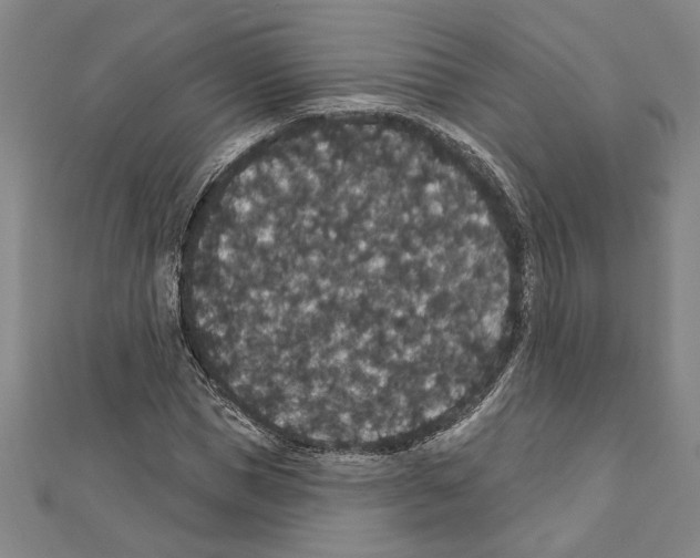 X0000111590921200908271006