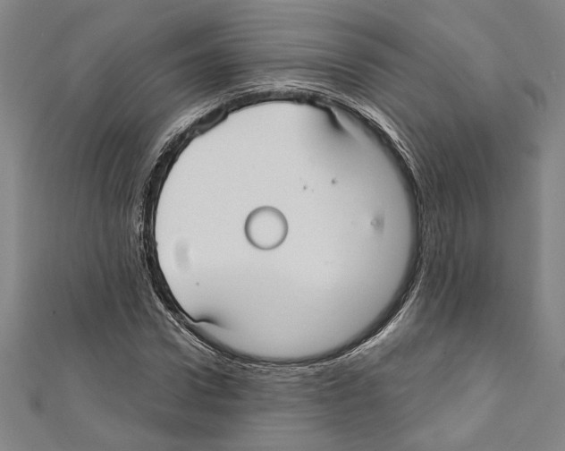 X0000111590922200908271006