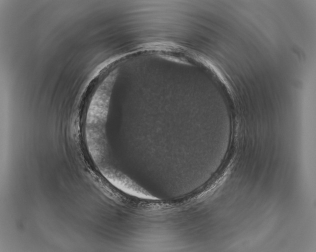 X0000111590923200908271006