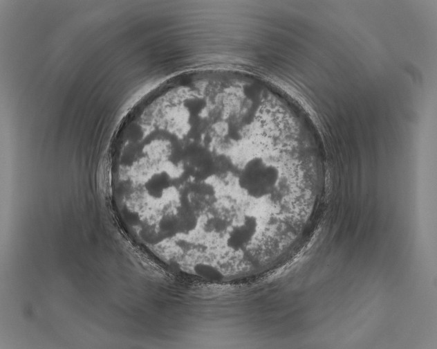 X0000111590925200908271006