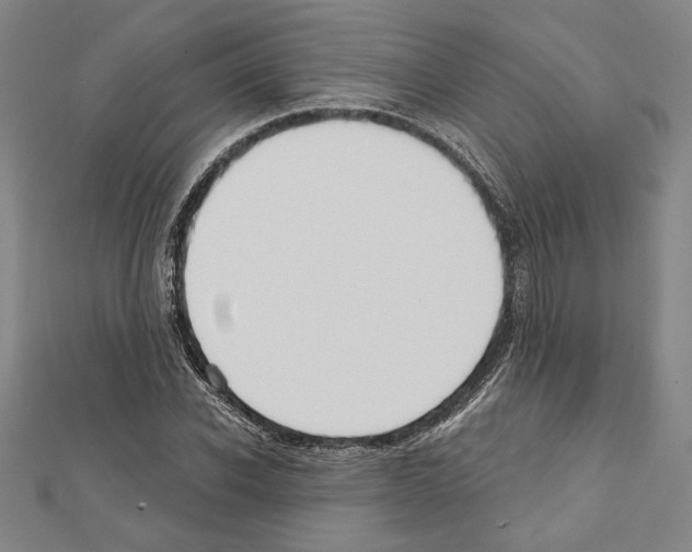 X0000111590926200908271006