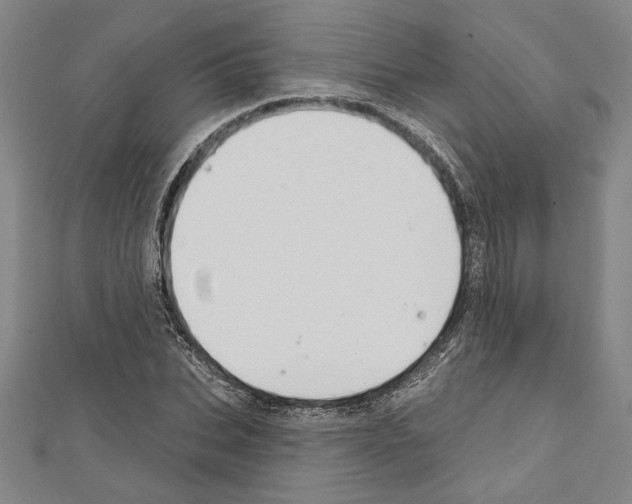 X0000111590927200908271006