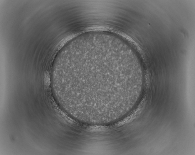 X0000111590929200908271006