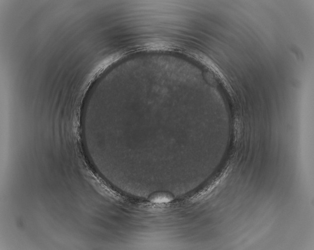 X0000111590930200908271006
