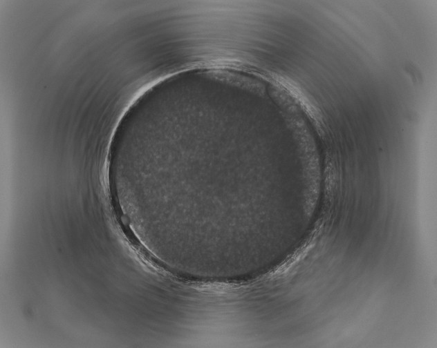 X0000111590932200908271006