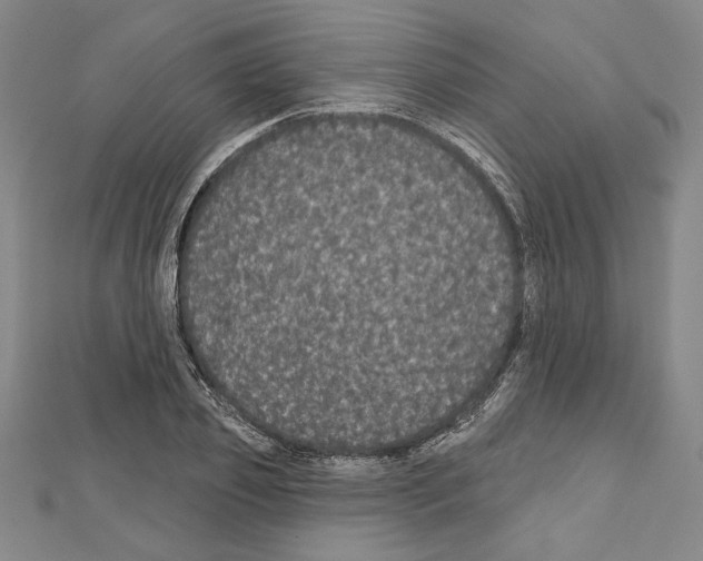 X0000111590933200908271006