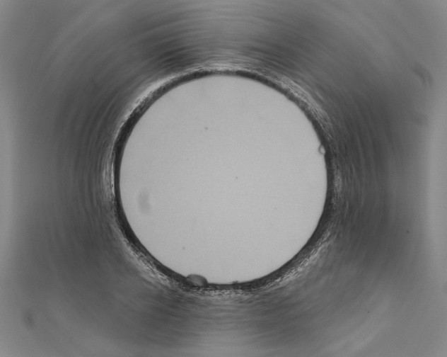 X0000111590934200908271006