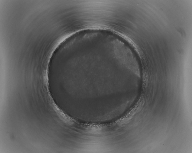 X0000111590935200908271006