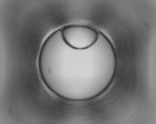 X0000111590936200908271006