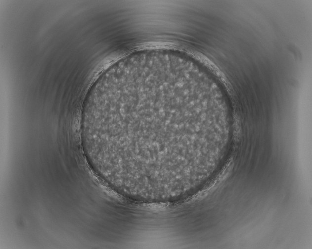 X0000111590937200908271006