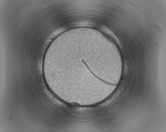 X0000111590938200908271006