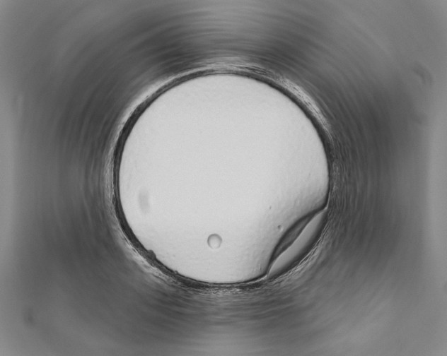 X0000111590939200908271006