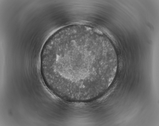 X0000111590940200908271006