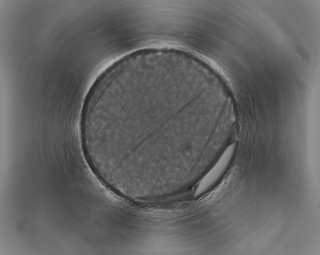 X0000111590943200908271006