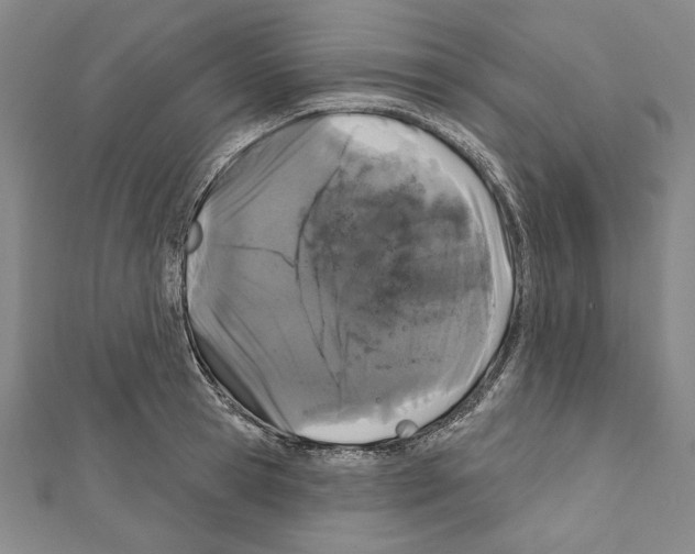 X0000111590945200908271006