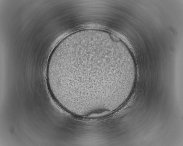 X0000111590946200908271006