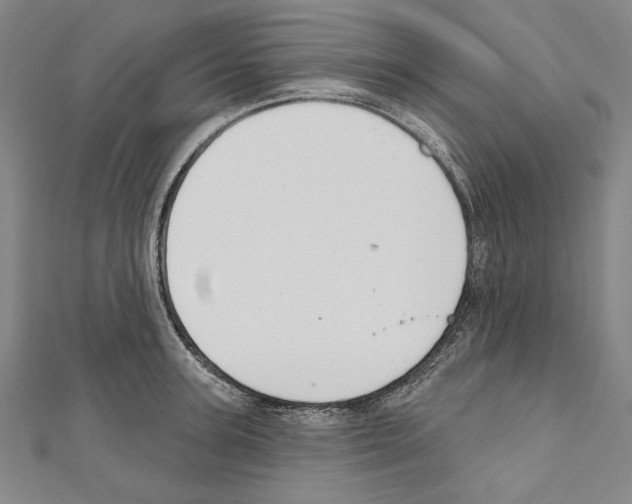 X0000111590947200908271006