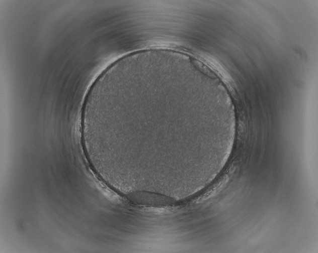 X0000111590948200908271006