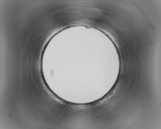 X0000111590949200908271006