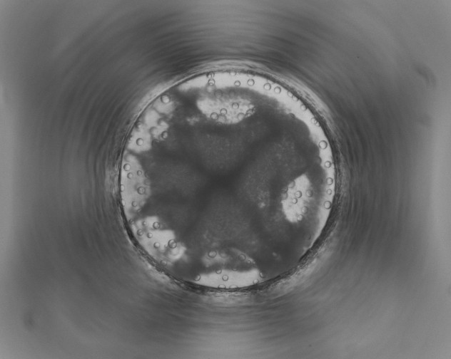 X0000111590953200908271006