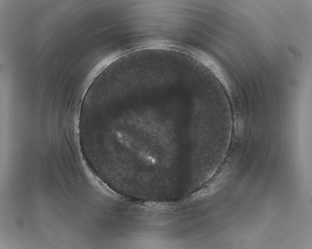 X0000111590954200908271006
