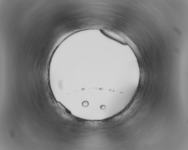 X0000111590956200908271006