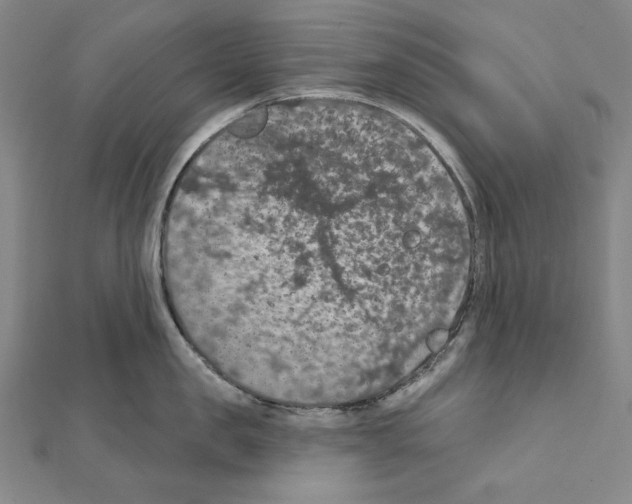 X0000111590957200908271006