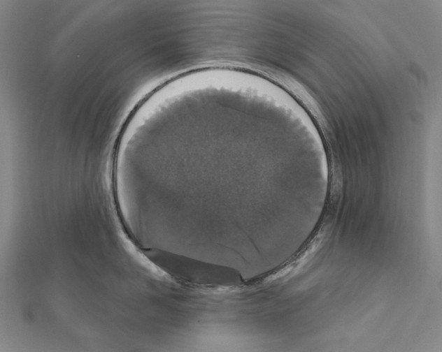 X0000111590958200908271006