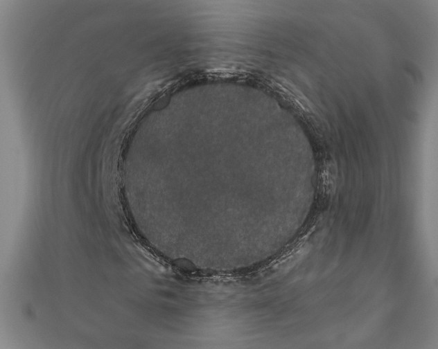 X0000111590961200908271006