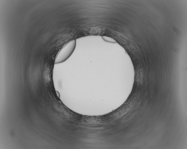 X0000111590962200908271006