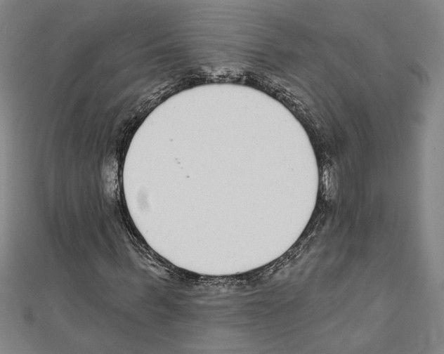 X0000111590963200908271006