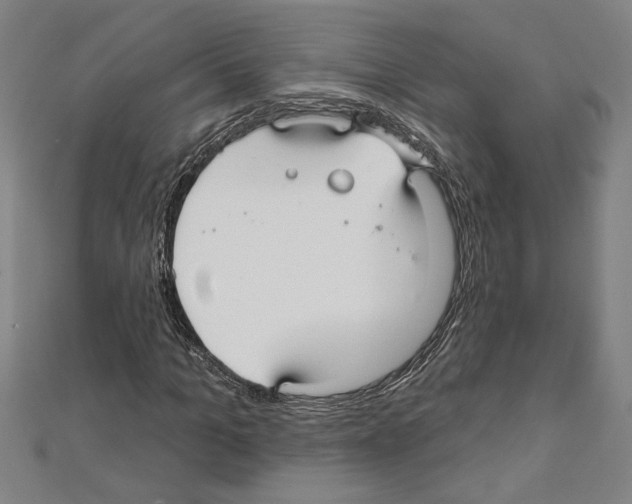 X0000111590965200908271006