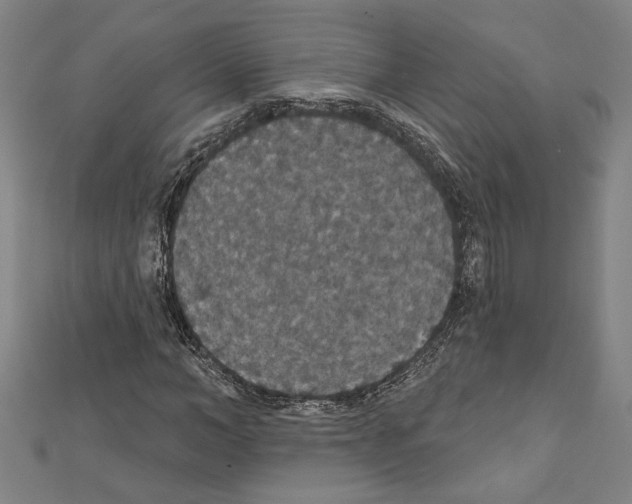 X0000111590966200908271006