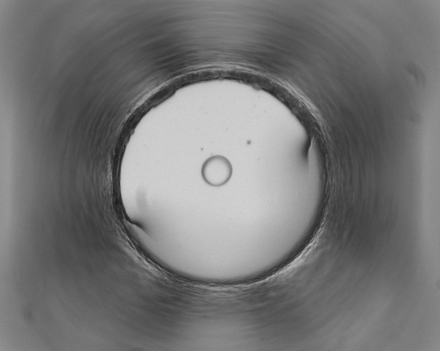 X0000111590969200908271006