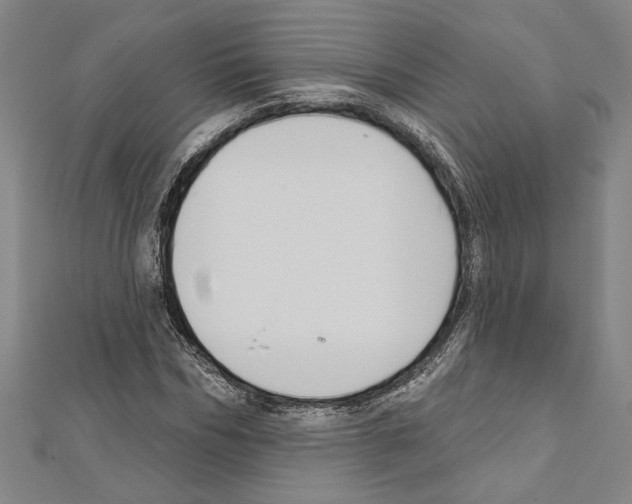 X0000111590970200908271006