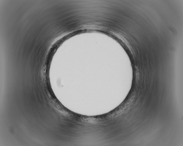 X0000111590971200908271006