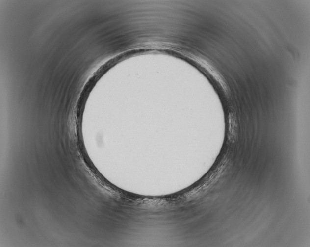 X0000111590972200908271006