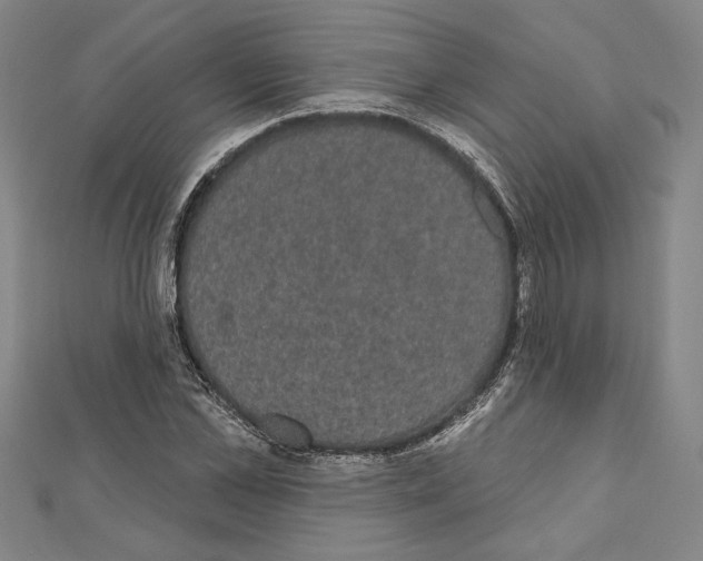 X0000111590973200908271006