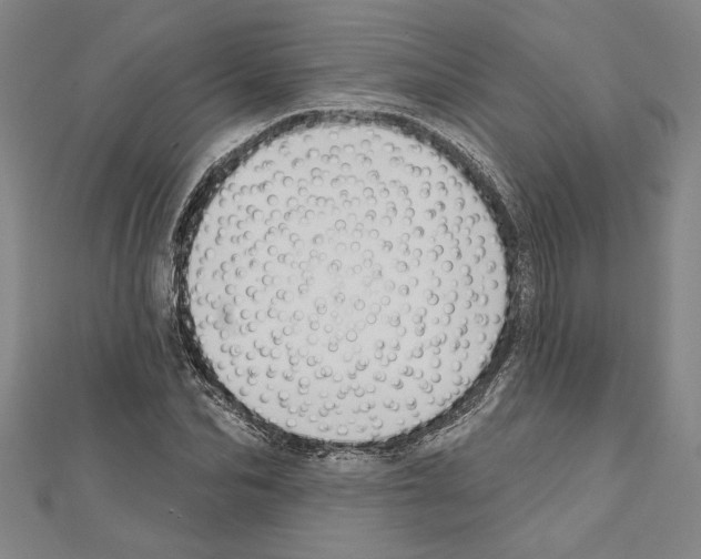 X0000111590974200908271006