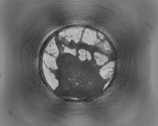 X0000111590975200908271006