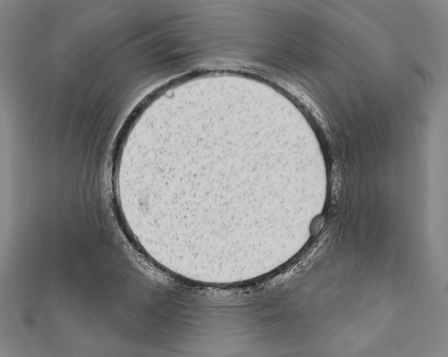 X0000111590976200908271006