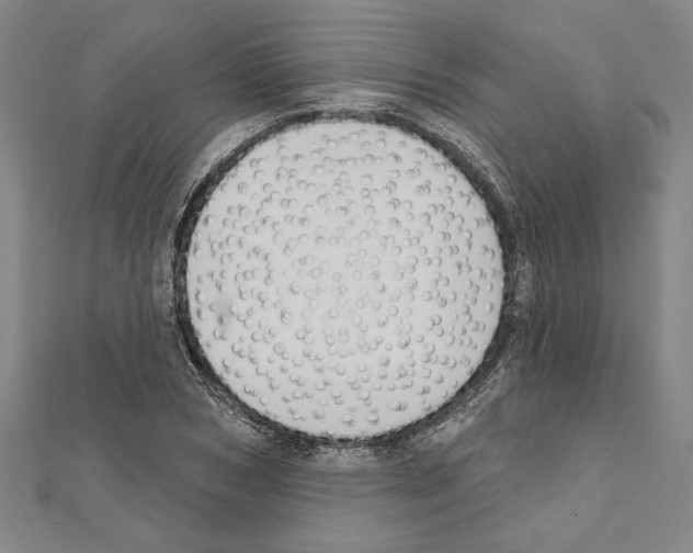 X0000111590978200908271006