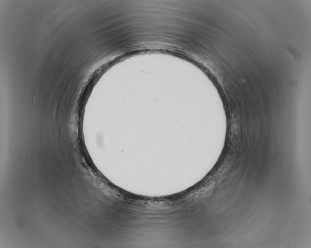X0000111590979200908271006