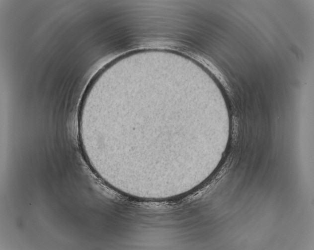 X0000111590980200908271006