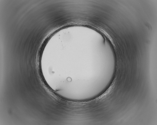 X0000111590981200908271006