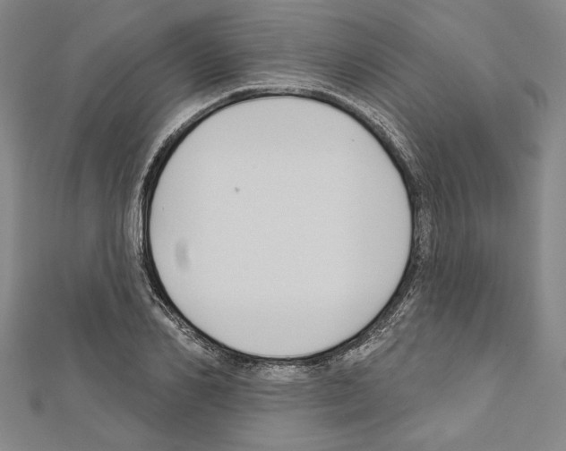 X0000111590982200908271006